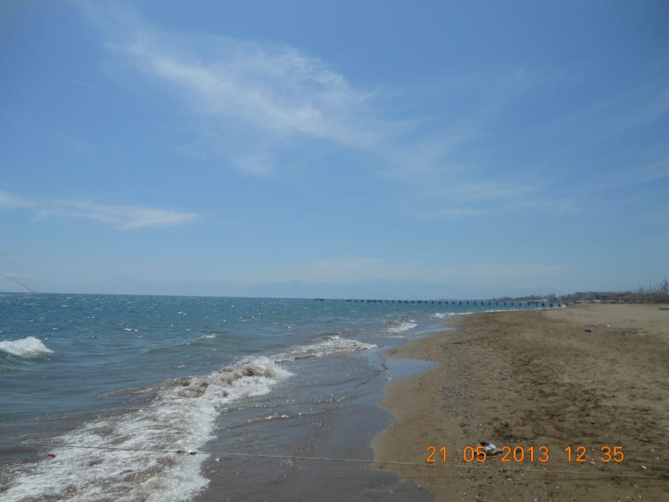Darf es etwas Meer sein Papillon Belvil