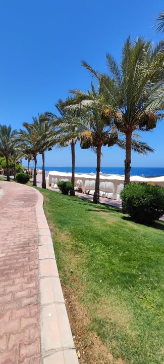 Strand Serenity Alpha Beach