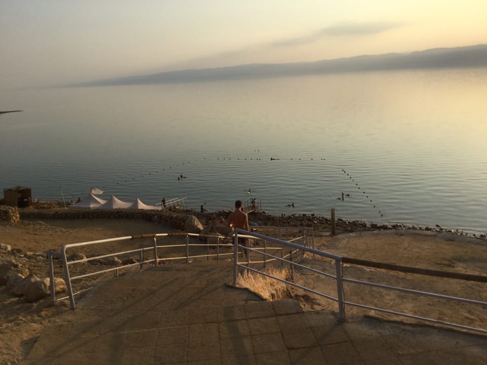 Ausblick Mövenpick Resort & Spa Dead Sea