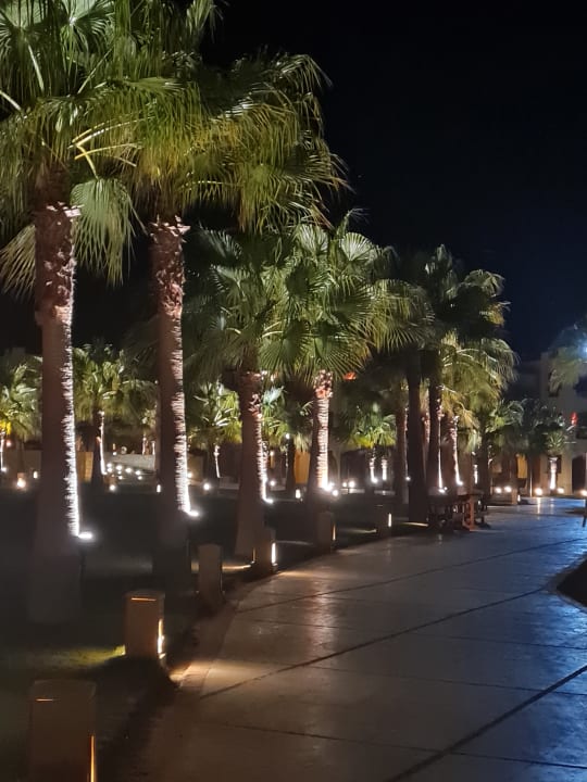 Gartenanlage Casa Mare Resort