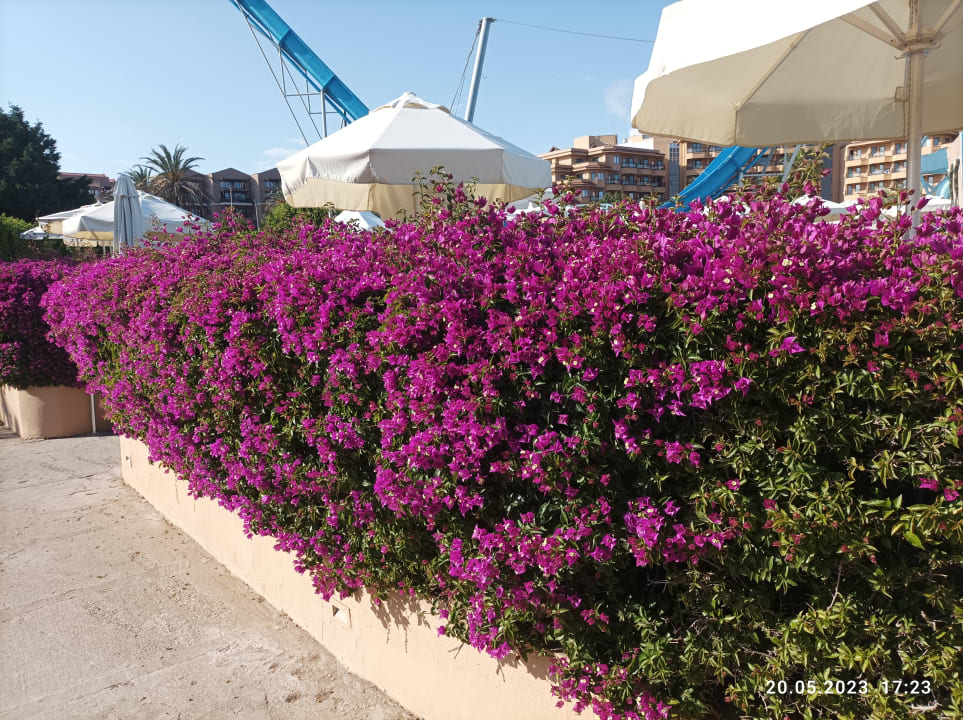 Gartenanlage Asteria Family Belek