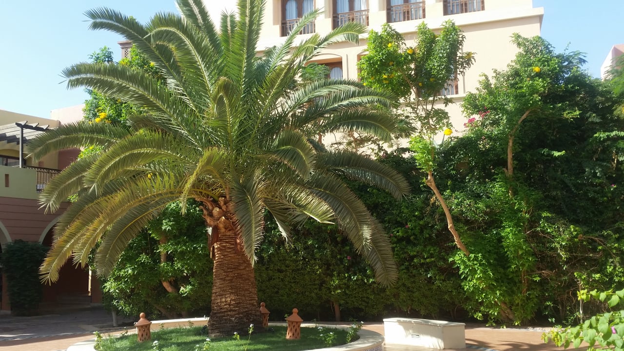 Gartenanlage Jaz Makadi Saraya Resort