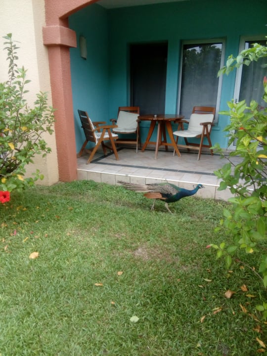 Zimmer The Kairaba Beach Hotel