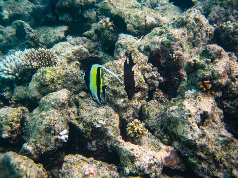 Sport & Freizeit Summer Island Maldives