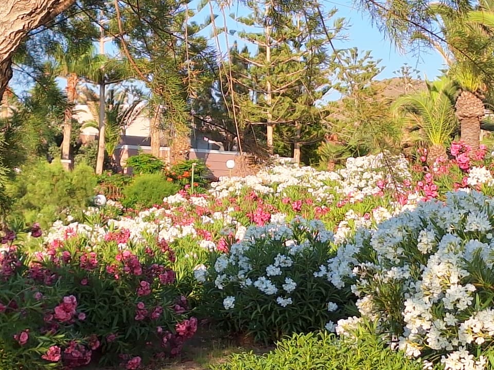 Gartenanlage Iberostar Waves Creta Panorama & Mare