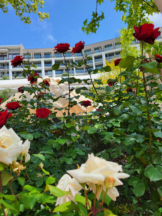 Außenansicht The Sense Deluxe Hotel