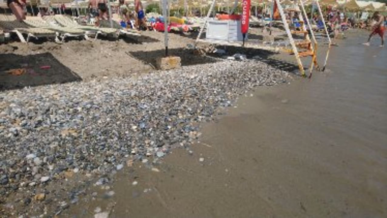 Strand Aydinbey Gold Dreams