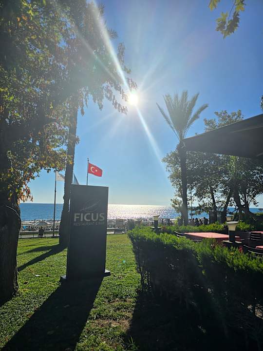 Gartenanlage Side Star Elegance