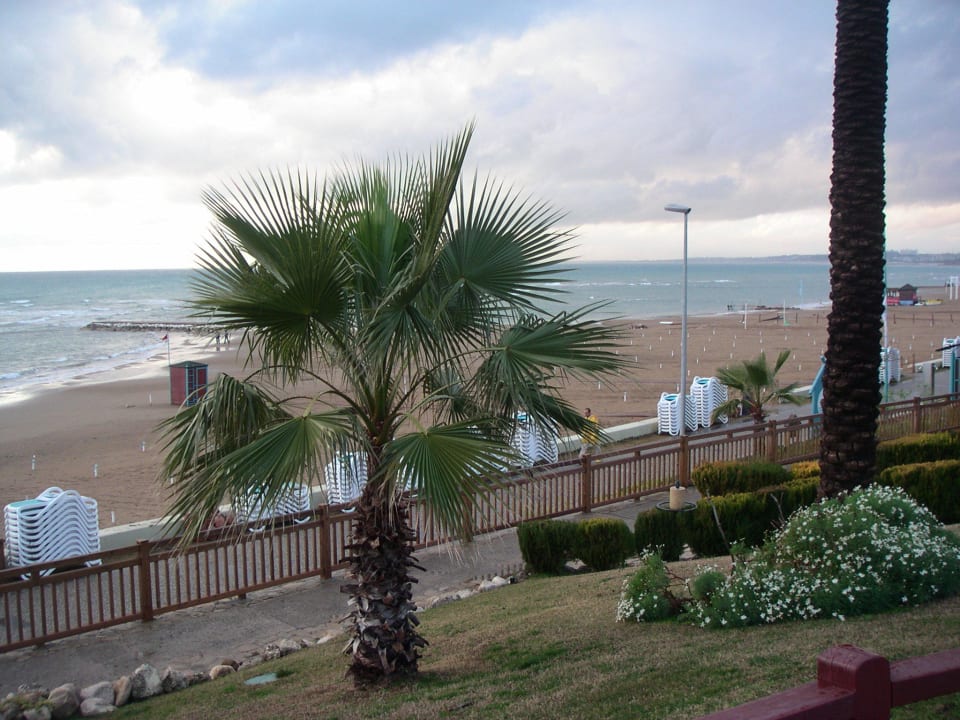 Näher gehts nicht zum Strand, oder? PALOMA Perissia