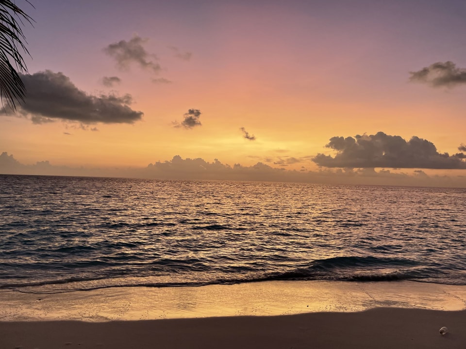 Strand Safari Island Maldives