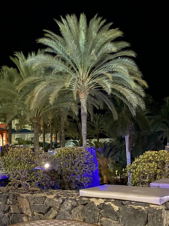 Gartenanlage R2 Pajara Beach