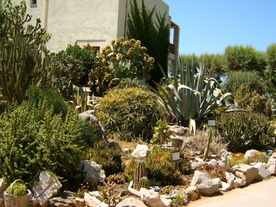 Der Hotelgarten Phãea Cretan Malia