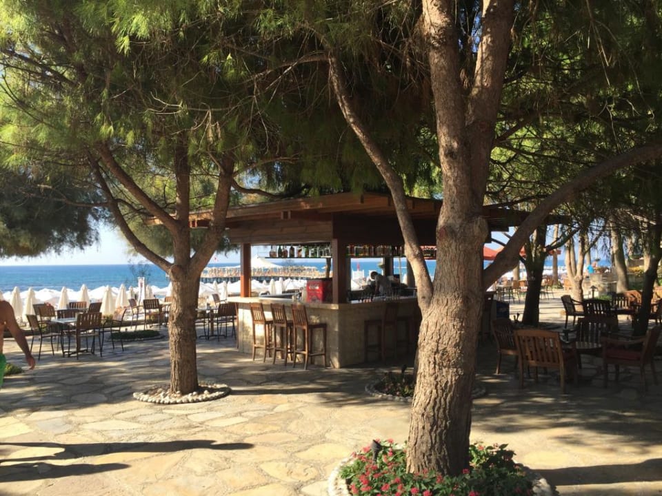 Gastro Arum Barut Collection