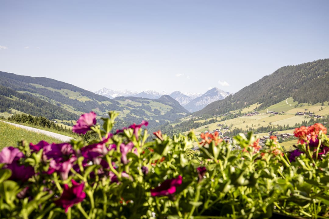 Ausblick Bergwald-Appartements -Alpbach