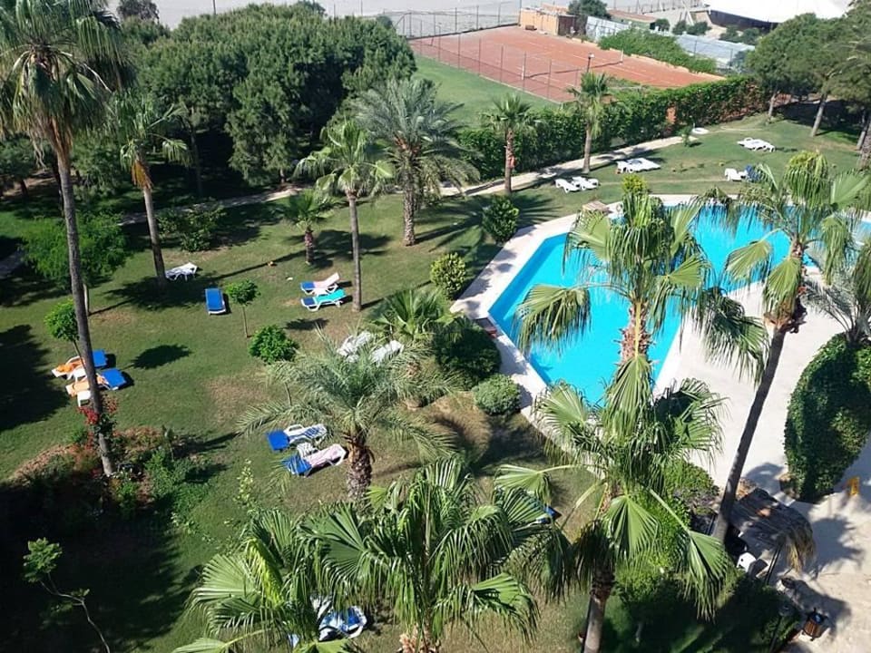 Garten-Ruhepool Club Turtas Beach Hotel