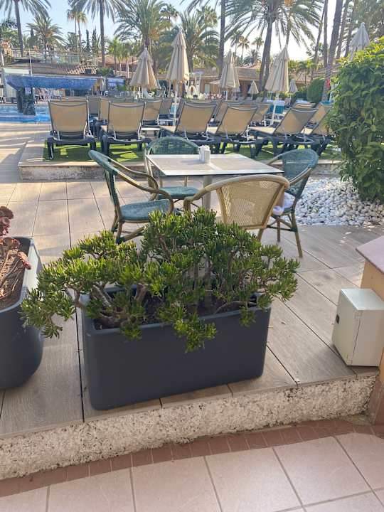 Gastro Suites & Villas by Dunas