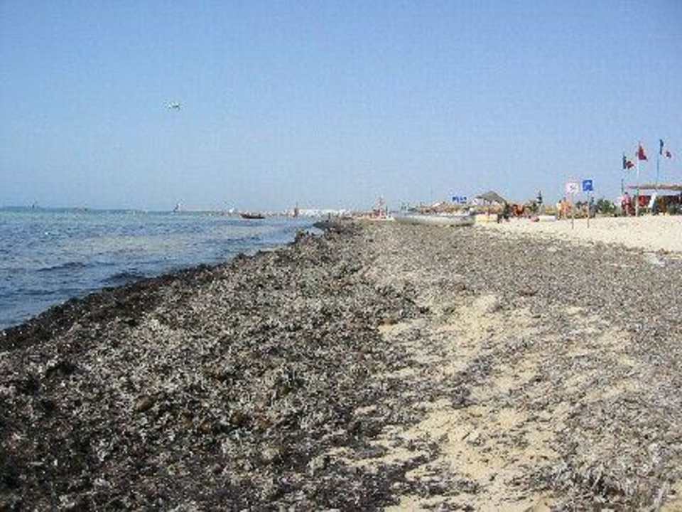 Strand4 Hotel African Queen