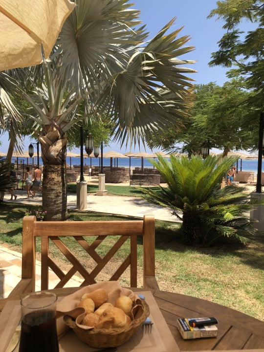 Gastro Grand Waterworld Makadi & Family Star Makadi