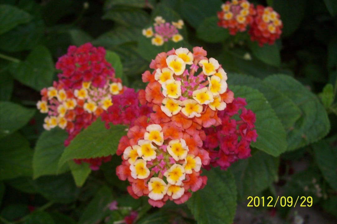 Gang zu den Bungalows El Mouradi Club Kantaoui