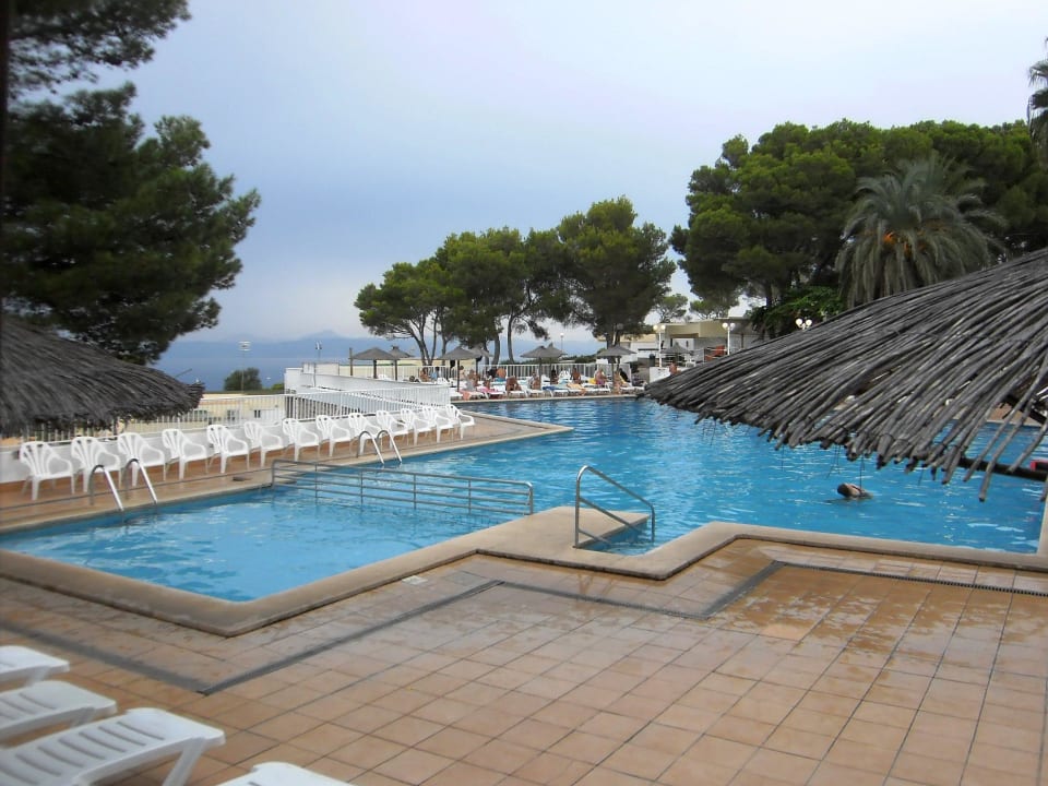Der Pool mit Blick aufs Meer Sun Club Eldorado