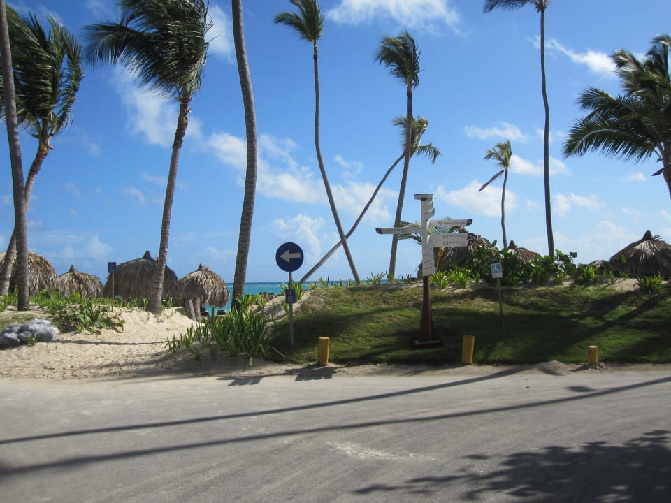 Gartenanlage Hotel Grand Palladium Palace Resort, Spa & Casino