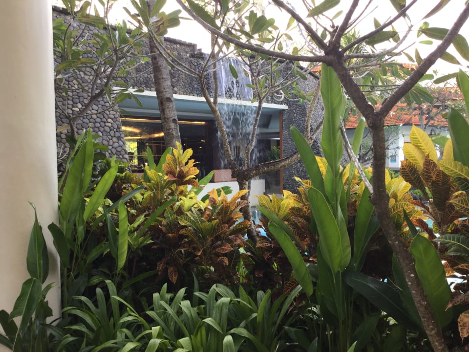 Gartenanlage The Laguna A Luxury Collection Resort & Spa