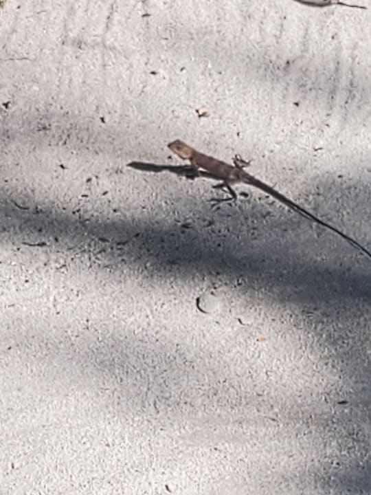 Sonstiges Cinnamon Dhonveli Maldives