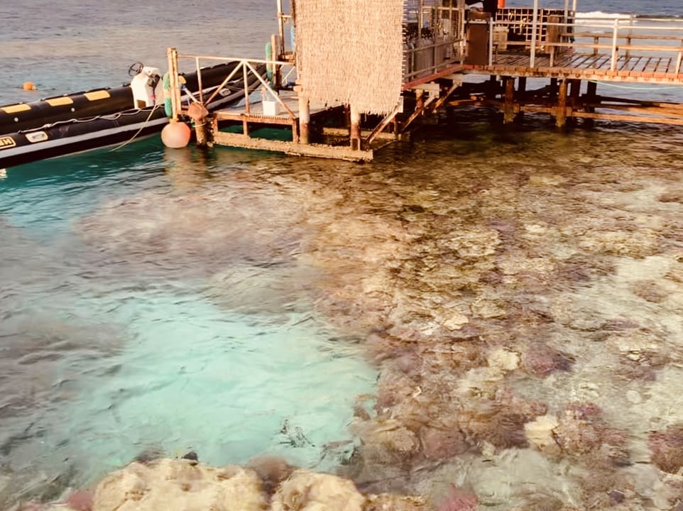 Strand Steigenberger Coraya Beach - Adults only