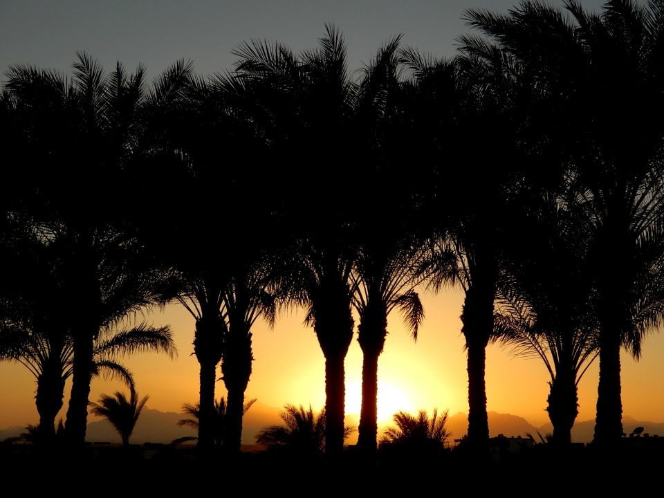 Ausblick Steigenberger Aqua Magic