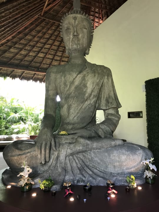 Sport & Freizeit Akumal Bay Beach & Wellness Resort