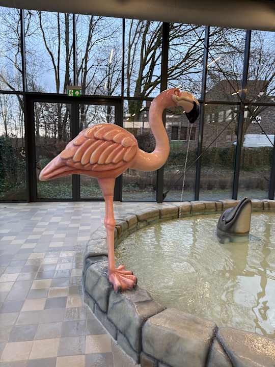 Pool Dormio Resort Maastricht