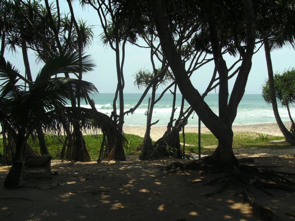 Blick vom Zimmer zum Strand Hotel Koggala Beach