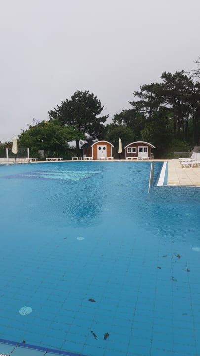 Pool Maritim Seehotel Timmendorfer Strand