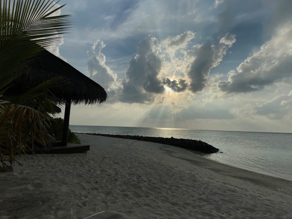 Strand Summer Island Maldives