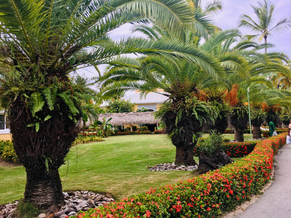 Gartenanlage Hotel Grand Palladium Palace Resort, Spa & Casino