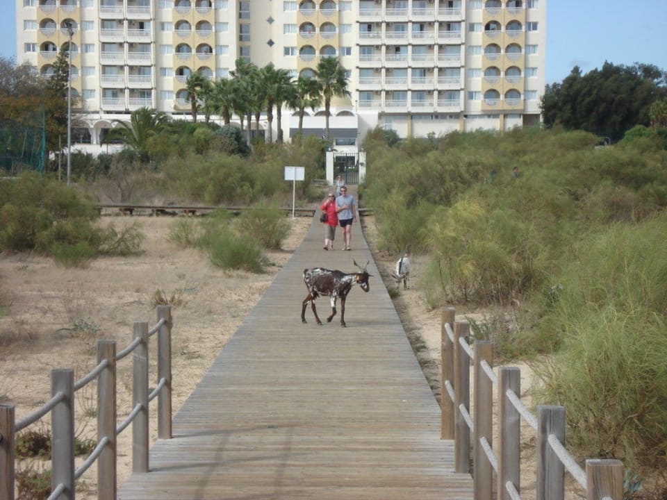 Der Weg zum Strand Ozadi Altura Beach Resort
