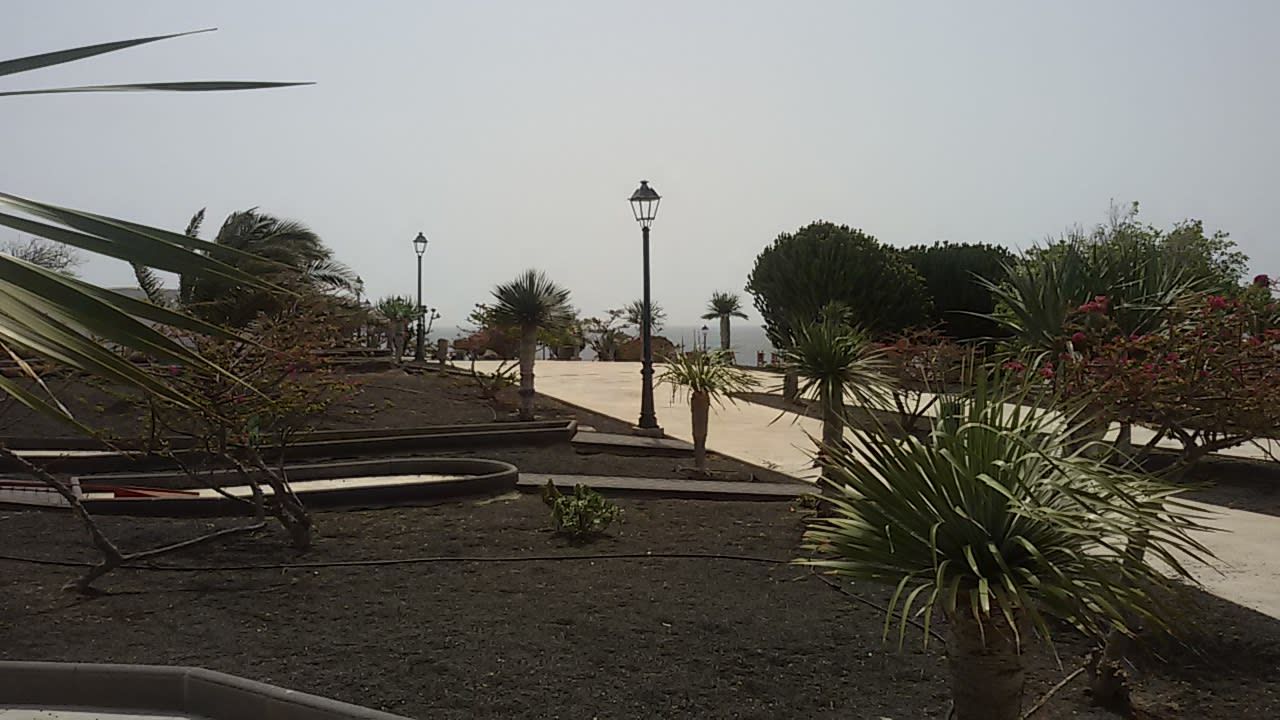 Gartenanlage allsun App.-Hotel Albatros