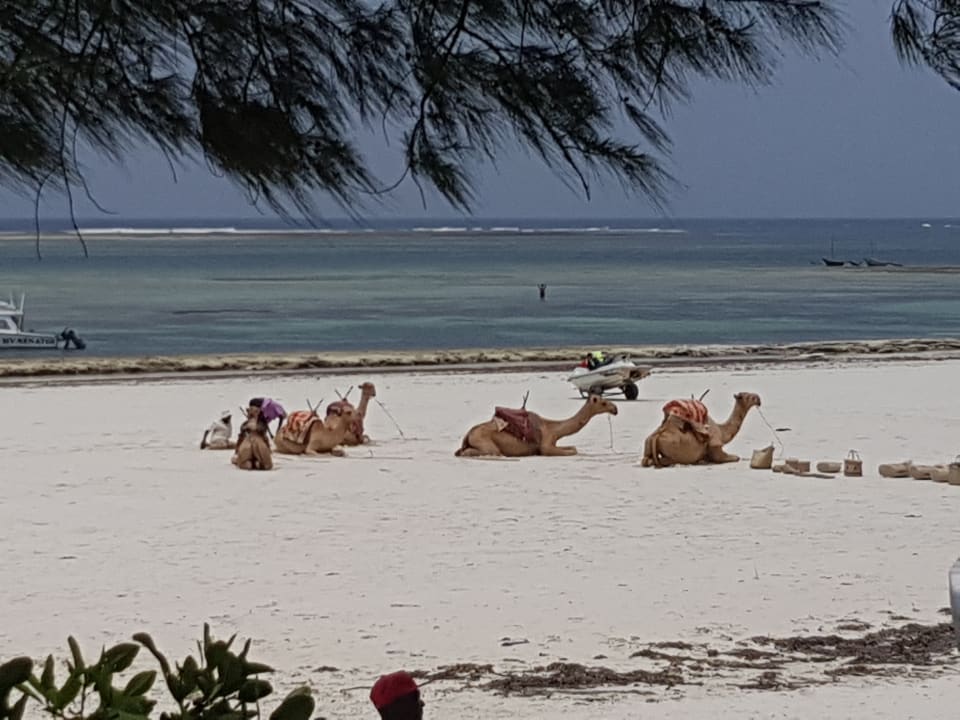 Strand Hotel Papillon Lagoon Reef