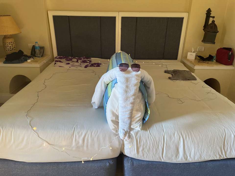 Zimmer Pickalbatros Palace Hotel-Port Ghalib