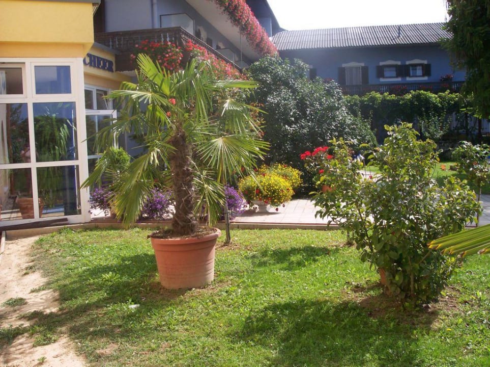 Gasthof Scheer Hotel Gasthof Scheer