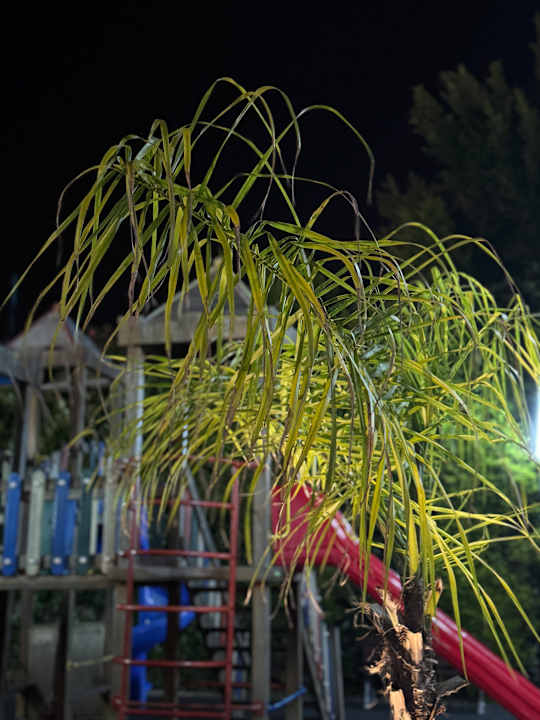 Sport & Freizeit Seher Sun Palace Resort & Spa