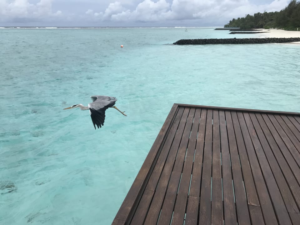 Ausblick Summer Island Maldives