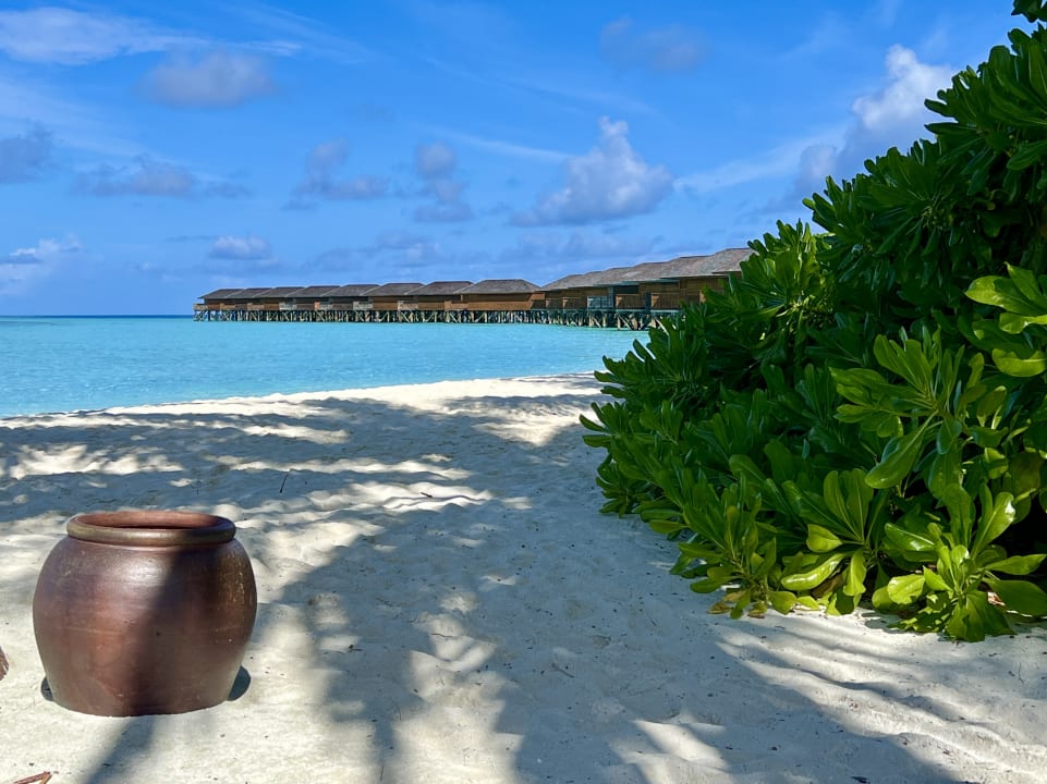 Strand Vilamendhoo Island Resort & Spa