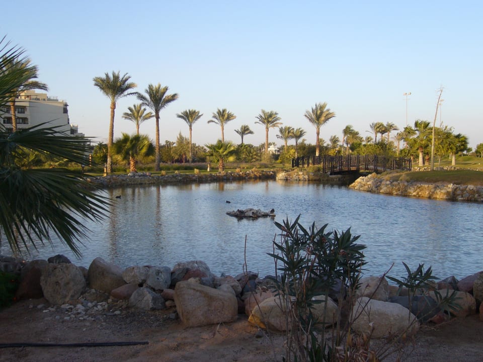Gartenanlage Steigenberger ALDAU Beach Hotel