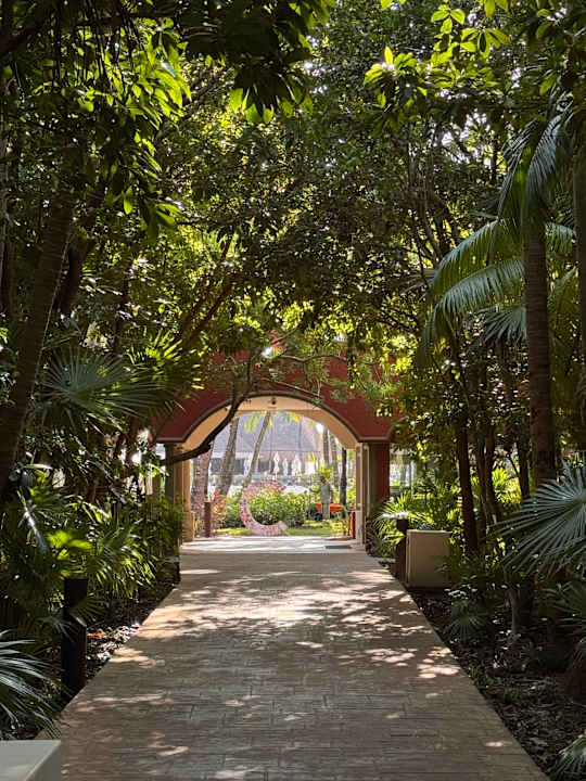 Gartenanlage Catalonia Playa Maroma