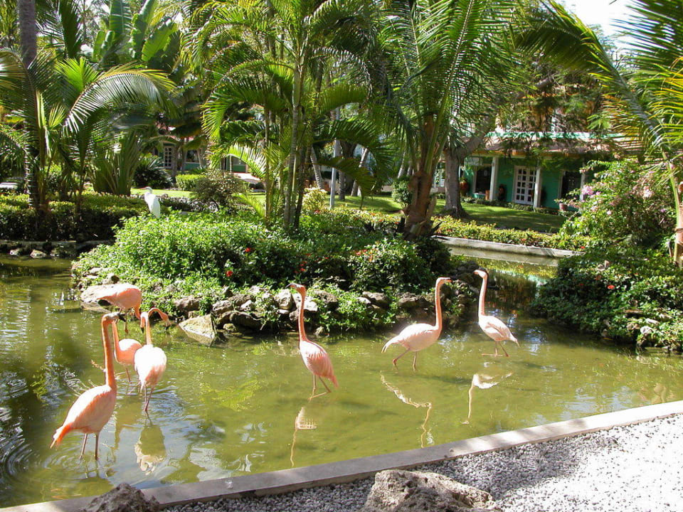 Eingangsbereich des Hotels Grand Palladium Select Bávaro Resort & Spa