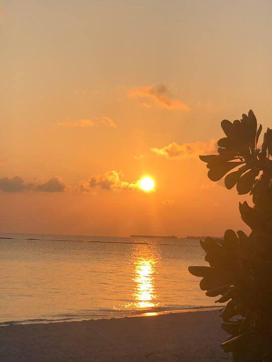 Strand Adaaran Select Meedhupparu Island Resort - Premium All Inclusive