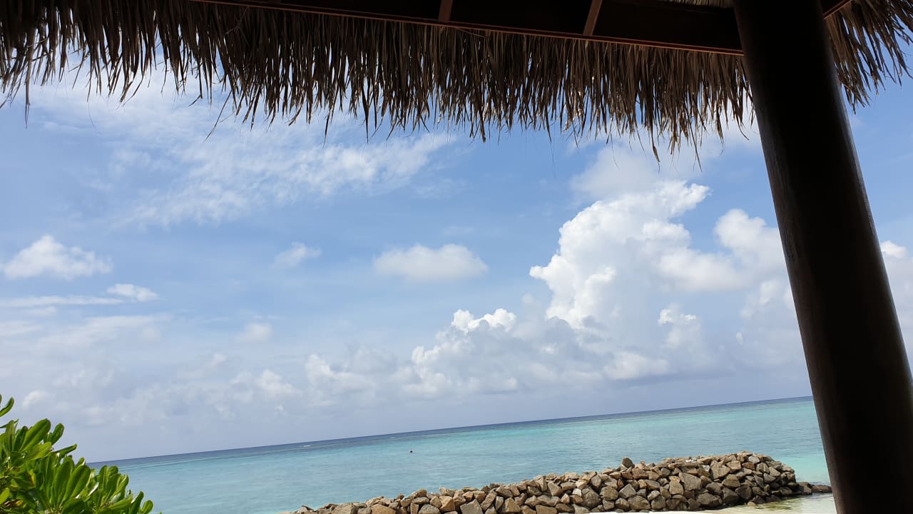 Ausblick Summer Island Maldives