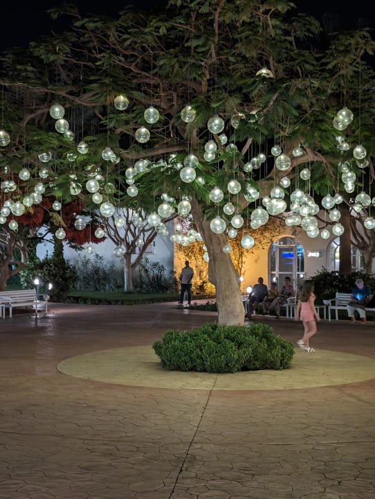 Gartenanlage Desert Rose