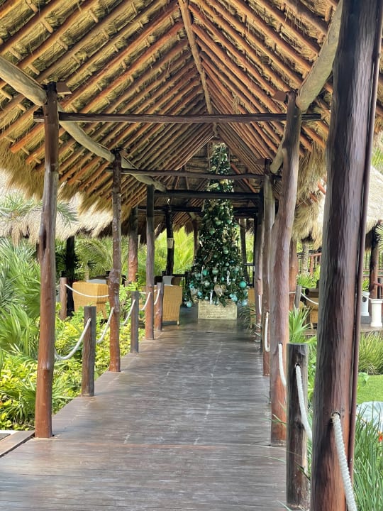 Gartenanlage Akumal Bay Beach & Wellness Resort